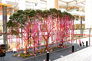 花は僕自信をも成長させてくれています。/曽我部 翔 (第11期卒業)