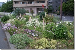 季節の花が咲き乱れた今年5月の花壇